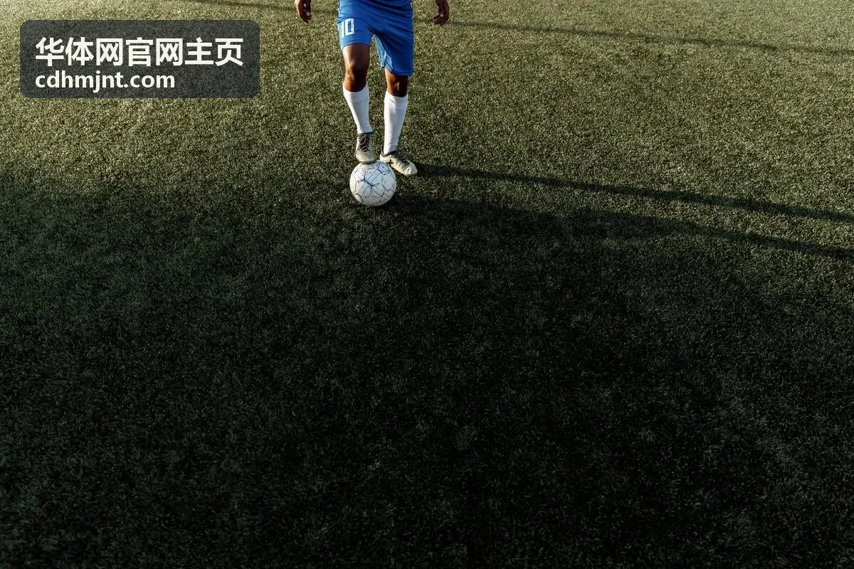 华体网官网主页球队数据走势曲线